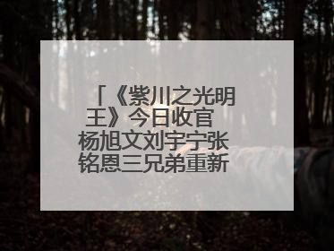 《紫川之光明王》今日收官 杨旭文刘宇宁张铭恩三兄弟重新收回远州失地