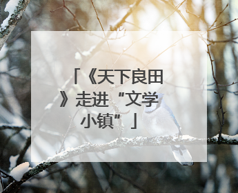 《天下良田》走进“文学小镇”