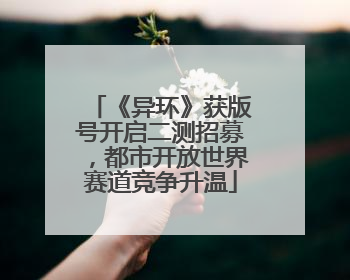 《异环》获版号开启二测招募，都市开放世界赛道竞争升温