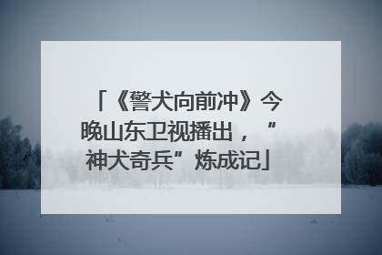 《警犬向前冲》今晚山东卫视播出，“神犬奇兵”炼成记