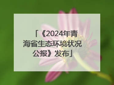 《2024年青海省生态环境状况公报》发布