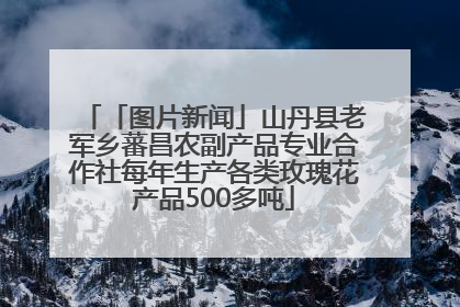 「图片新闻」山丹县老军乡蕃昌农副产品专业合作社每年生产各类玫瑰花产品500多吨