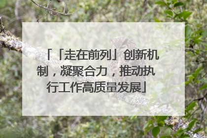 「走在前列」创新机制，凝聚合力，推动执行工作高质量发展