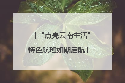 “点亮云南生活”特色航班如期启航