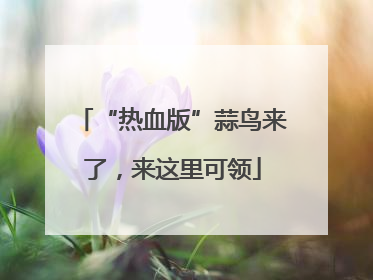 “热血版”蒜鸟来了，来这里可领