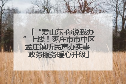“爱山东·你说我办”上线！枣庄市市中区孟庄镇听民声办实事 政务服务暖心升级