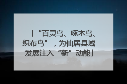 “百灵鸟、啄木鸟、织布鸟”，为仙居县域发展注入“新”动能