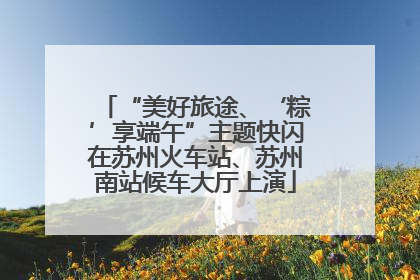 “美好旅途、‘粽’享端午”主题快闪在苏州火车站、苏州南站候车大厅上演