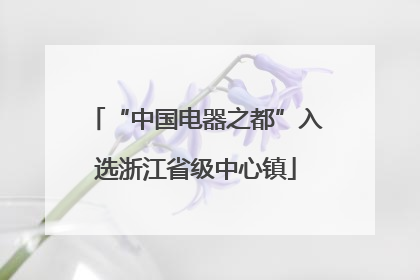 “中国电器之都”入选浙江省级中心镇