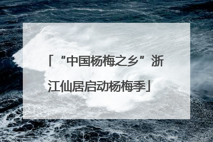 “中国杨梅之乡”浙江仙居启动杨梅季