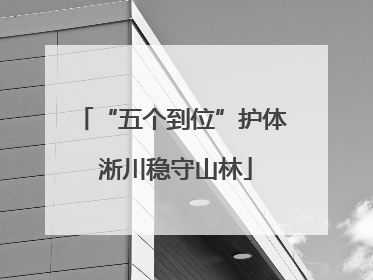 “五个到位”护体 淅川稳守山林