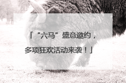“六马”盛意邀约，多项狂欢活动来袭！