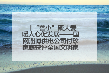 “善小”聚大爱 暖人心促发展——国网淄博供电公司付珍家庭获评全国文明家庭背后的文明密码