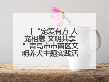 “宠爱有方 人宠相融 文明共享”青岛市市南区文明养犬主题实践活动举办