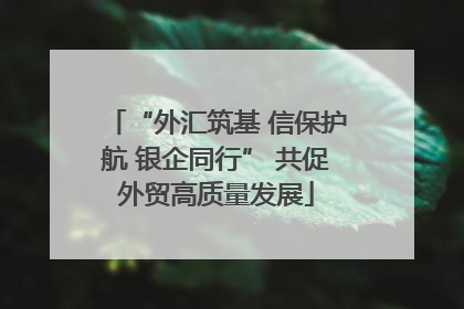 “外汇筑基 信保护航 银企同行” 共促外贸高质量发展