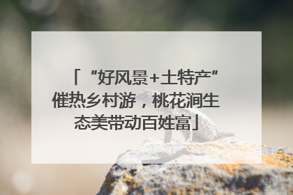 “好风景+土特产”催热乡村游，桃花涧生态美带动百姓富