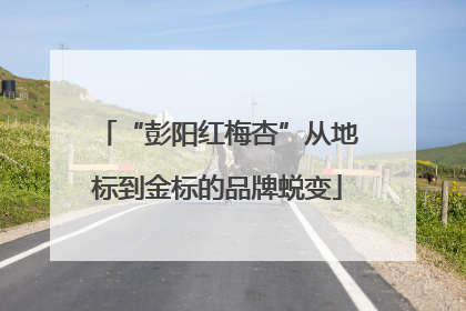 “彭阳红梅杏”从地标到金标的品牌蜕变
