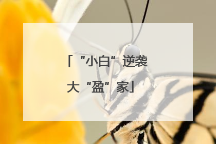 “小白”逆袭大“盈”家