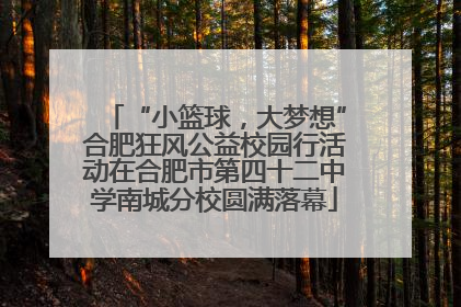 “小篮球，大梦想”合肥狂风公益校园行活动在合肥市第四十二中学南城分校圆满落幕
