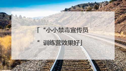 “小小禁毒宣传员”训练营效果好