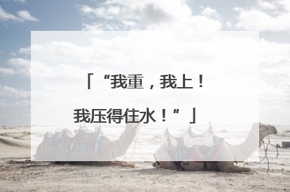 “我重，我上！我压得住水！”