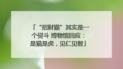 “招财猫”其实是一个熨斗 博物馆回应：是猫是虎，见仁见智