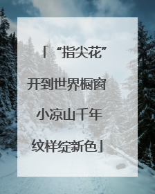 “指尖花”开到世界橱窗 小凉山千年纹样绽新色