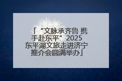 “文脉承齐鲁 携手赴东平”2025东平湖文旅走进济宁推介会圆满举办