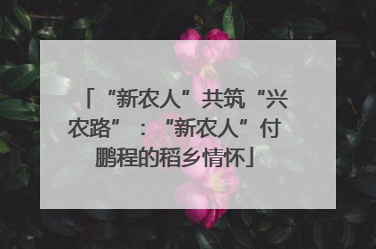 “新农人”共筑“兴农路”：“新农人”付鹏程的稻乡情怀