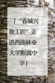 “春城兴教工匠”走进西南林业大学附属中学