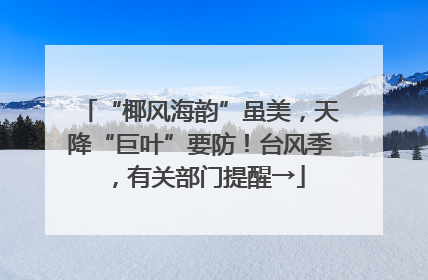 “椰风海韵”虽美，天降“巨叶”要防！台风季，有关部门提醒→