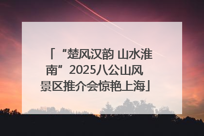 “楚风汉韵 山水淮南”2025八公山风景区推介会惊艳上海