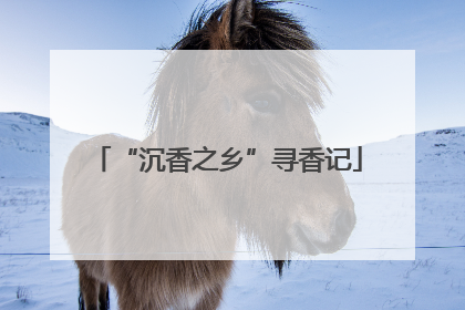 “沉香之乡”寻香记