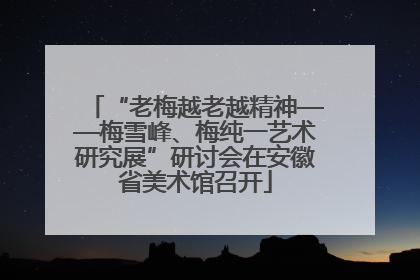 “老梅越老越精神——梅雪峰、梅纯一艺术研究展”研讨会在安徽省美术馆召开