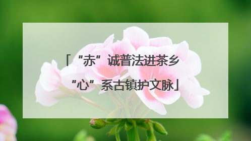 “赤”诚普法进茶乡 “心”系古镇护文脉