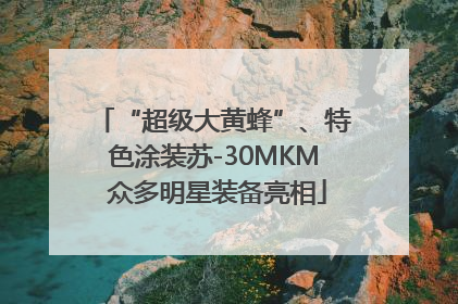 “超级大黄蜂”、特色涂装苏-30MKM 众多明星装备亮相