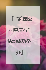 “跨国公司重庆行”活动成功举办