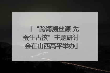 “跨海溯丝源 先蚕生古泫”主题研讨会在山西高平举办