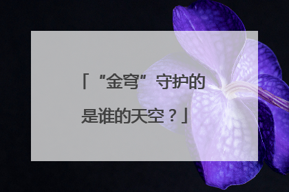 “金穹”守护的是谁的天空？