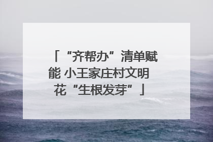 “齐帮办”清单赋能 小王家庄村文明花“生根发芽”