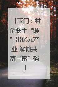 玉门：村企联手“链”出亿元产业 解锁共富“蜜”码