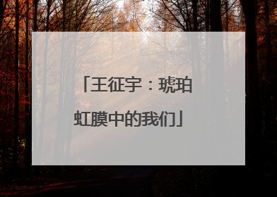 王征宇：琥珀虹膜中的我们
