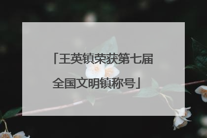 王英镇荣获第七届全国文明镇称号