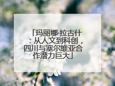 玛丽娜·拉古什：从人文到科创，四川与塞尔维亚合作潜力巨大