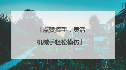 点赞挥手，灵活机械手轻松模仿