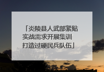 炎陵县人武部紧贴实战需求开展集训 打造过硬民兵队伍