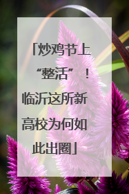 炒鸡节上“整活”！临沂这所新高校为何如此出圈