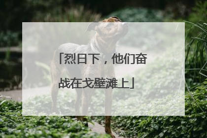 烈日下，他们奋战在戈壁滩上