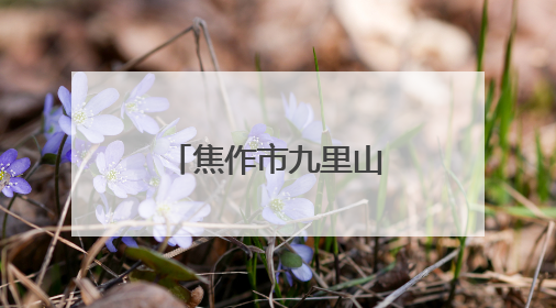 焦作市九里山街道：“数字赋能”助力党员档案电子化管理