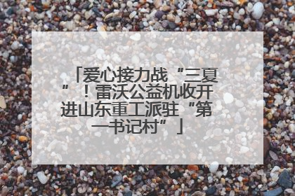 爱心接力战“三夏”！雷沃公益机收开进山东重工派驻“第一书记村”